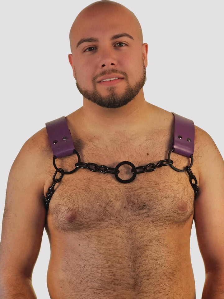 Purple Leather Dogwood With Black Chains