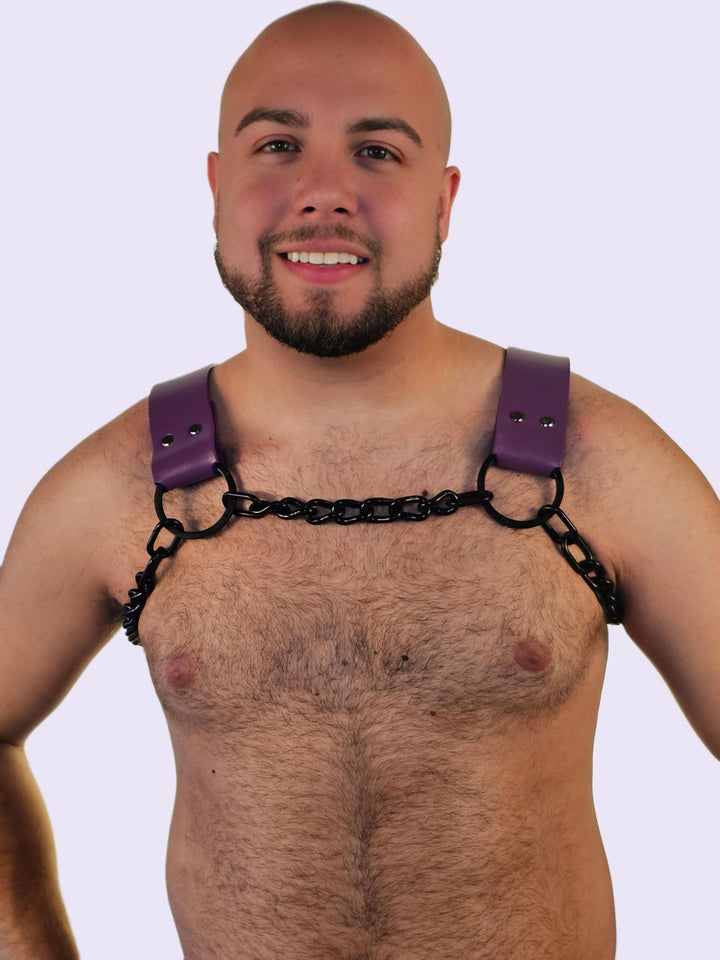 Purple Leather Dogwood With Black Chains