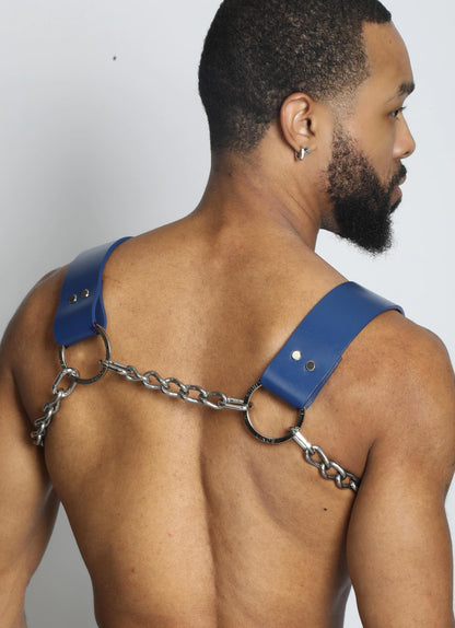 Blue Leather Straps with Stainless-Steel Chains Dogwood